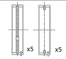 Crankshaft Bearing